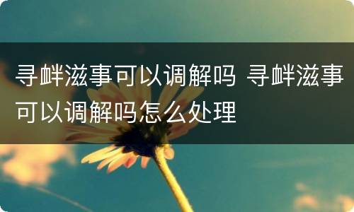 寻衅滋事可以调解吗 寻衅滋事可以调解吗怎么处理