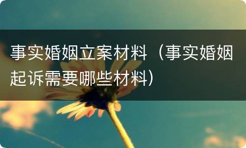 事实婚姻立案材料（事实婚姻起诉需要哪些材料）