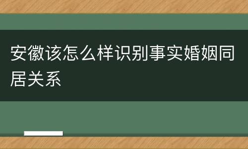 安徽该怎么样识别事实婚姻同居关系
