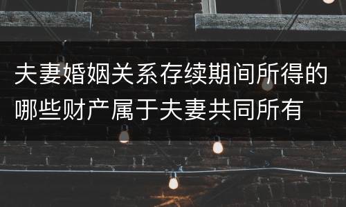 夫妻婚姻关系存续期间所得的哪些财产属于夫妻共同所有