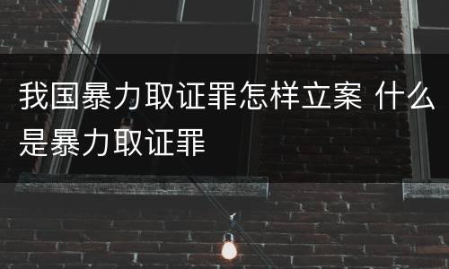 我国暴力取证罪怎样立案 什么是暴力取证罪