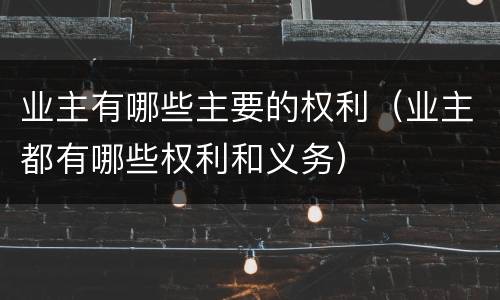 业主有哪些主要的权利（业主都有哪些权利和义务）