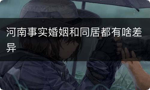 河南事实婚姻和同居都有啥差异