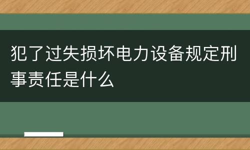 犯了过失损坏电力设备规定刑事责任是什么