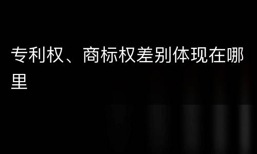 专利权、商标权差别体现在哪里