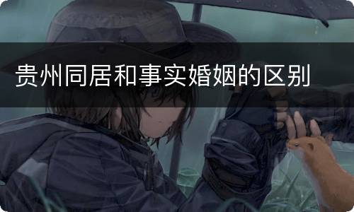 贵州同居和事实婚姻的区别