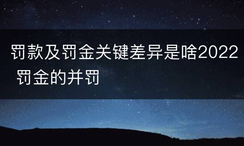 罚款及罚金关键差异是啥2022 罚金的并罚