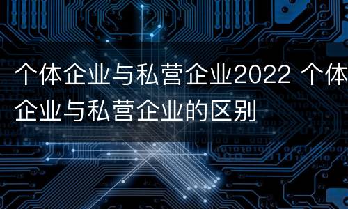 个体企业与私营企业2022 个体企业与私营企业的区别