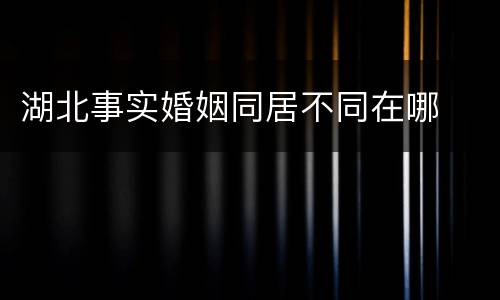 湖北事实婚姻同居不同在哪