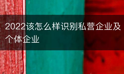 2022该怎么样识别私营企业及个体企业