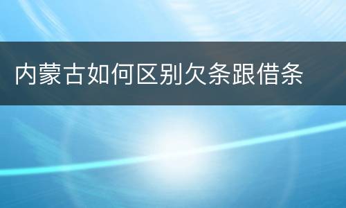 内蒙古如何区别欠条跟借条