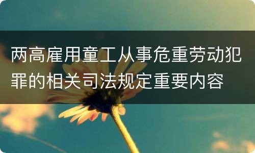 两高雇用童工从事危重劳动犯罪的相关司法规定重要内容