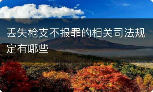 丢失枪支不报罪的相关司法规定有哪些