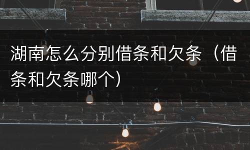 湖南怎么分别借条和欠条（借条和欠条哪个）