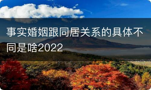 事实婚姻跟同居关系的具体不同是啥2022