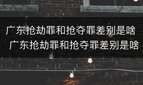 广东抢劫罪和抢夺罪差别是啥 广东抢劫罪和抢夺罪差别是啥呢