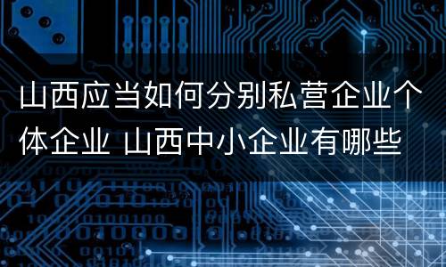 山西应当如何分别私营企业个体企业 山西中小企业有哪些
