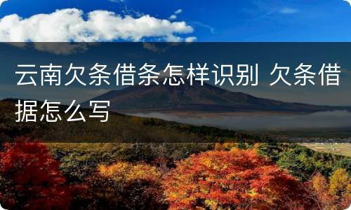 云南欠条借条怎样识别 欠条借据怎么写
