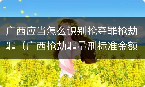 广西应当怎么识别抢夺罪抢劫罪（广西抢劫罪量刑标准金额）