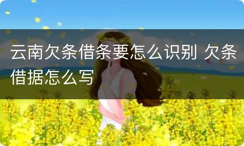 云南欠条借条要怎么识别 欠条借据怎么写