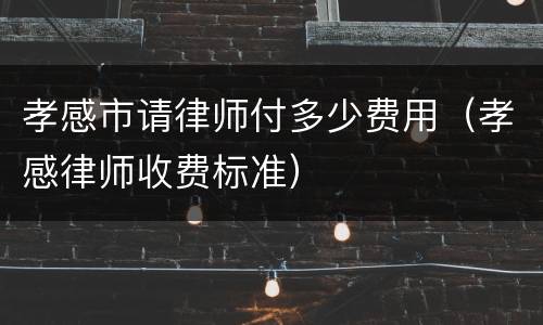 孝感市请律师付多少费用（孝感律师收费标准）