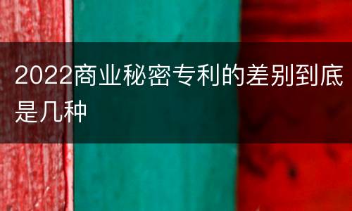 2022商业秘密专利的差别到底是几种