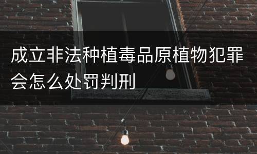成立非法种植毒品原植物犯罪会怎么处罚判刑