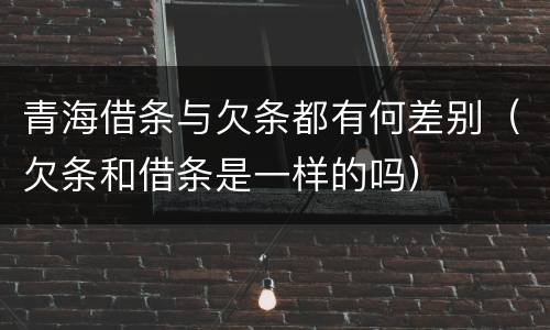 青海借条与欠条都有何差别（欠条和借条是一样的吗）