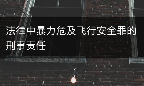 法律中暴力危及飞行安全罪的刑事责任