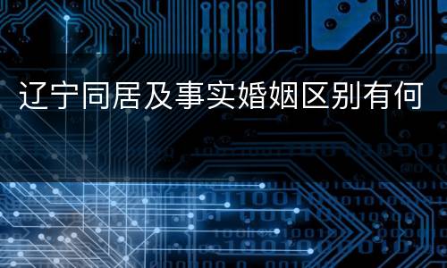 辽宁同居及事实婚姻区别有何