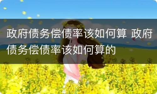 政府债务偿债率该如何算 政府债务偿债率该如何算的