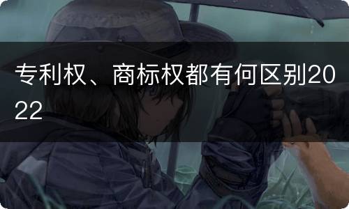 专利权、商标权都有何区别2022