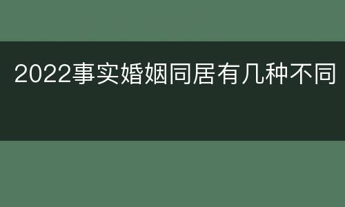 2022事实婚姻同居有几种不同