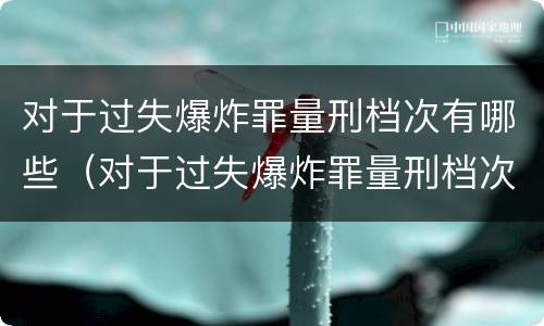 对于过失爆炸罪量刑档次有哪些（对于过失爆炸罪量刑档次有哪些规定）