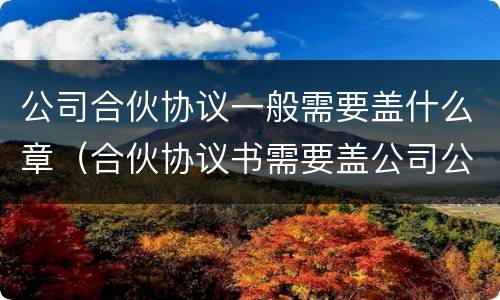 公司合伙协议一般需要盖什么章（合伙协议书需要盖公司公章吗??）