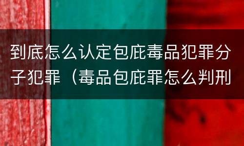 到底怎么认定包庇毒品犯罪分子犯罪（毒品包庇罪怎么判刑）