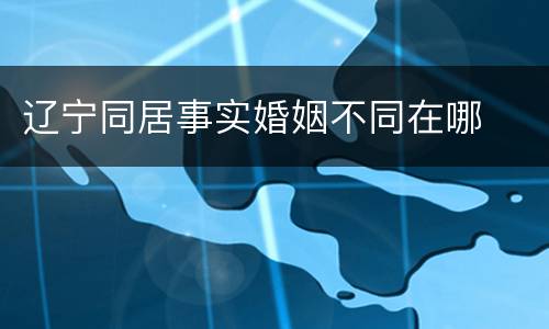 辽宁同居事实婚姻不同在哪