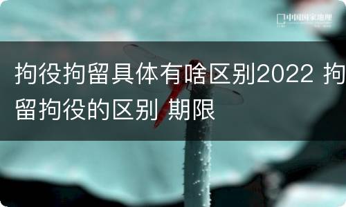 拘役拘留具体有啥区别2022 拘留拘役的区别 期限