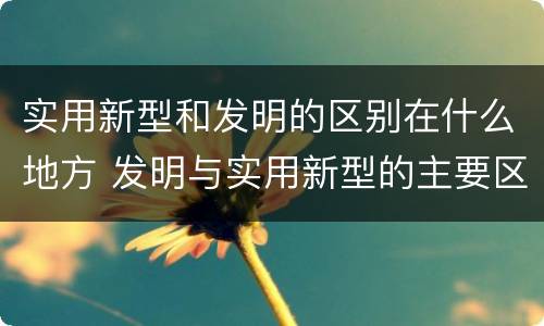 实用新型和发明的区别在什么地方 发明与实用新型的主要区别