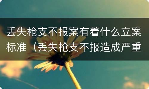 丢失枪支不报案有着什么立案标准（丢失枪支不报造成严重后果）