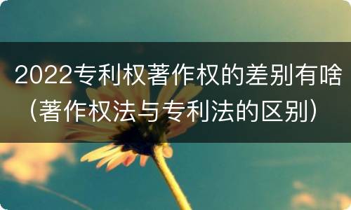 2022专利权著作权的差别有啥（著作权法与专利法的区别）