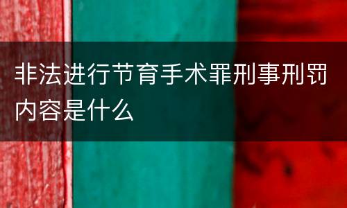 非法进行节育手术罪刑事刑罚内容是什么