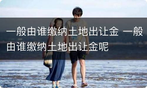 一般由谁缴纳土地出让金 一般由谁缴纳土地出让金呢