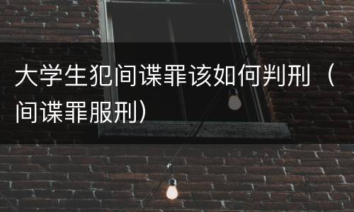 大学生犯间谍罪该如何判刑（间谍罪服刑）