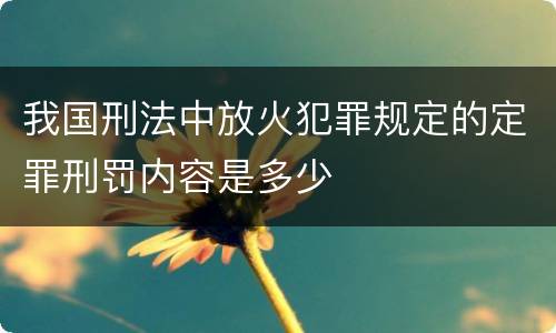 我国刑法中放火犯罪规定的定罪刑罚内容是多少
