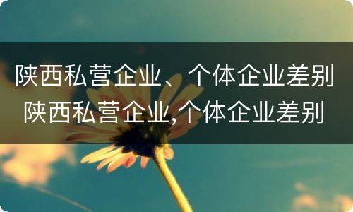 陕西私营企业、个体企业差别 陕西私营企业,个体企业差别大吗