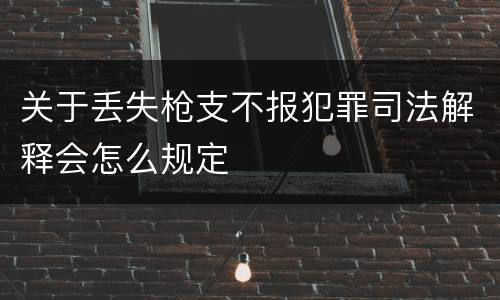 关于丢失枪支不报犯罪司法解释会怎么规定