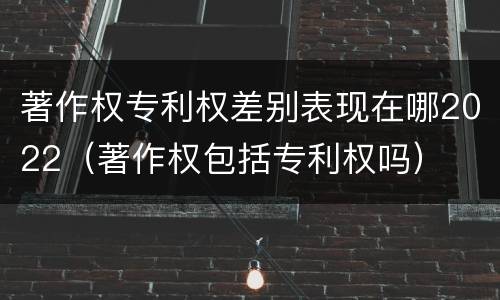 著作权专利权差别表现在哪2022（著作权包括专利权吗）