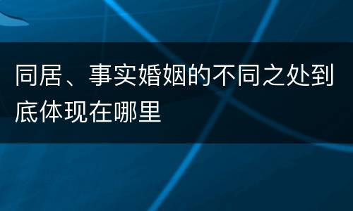 同居、事实婚姻的不同之处到底体现在哪里