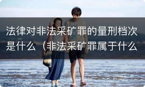 法律对非法采矿罪的量刑档次是什么（非法采矿罪属于什么类型罪）